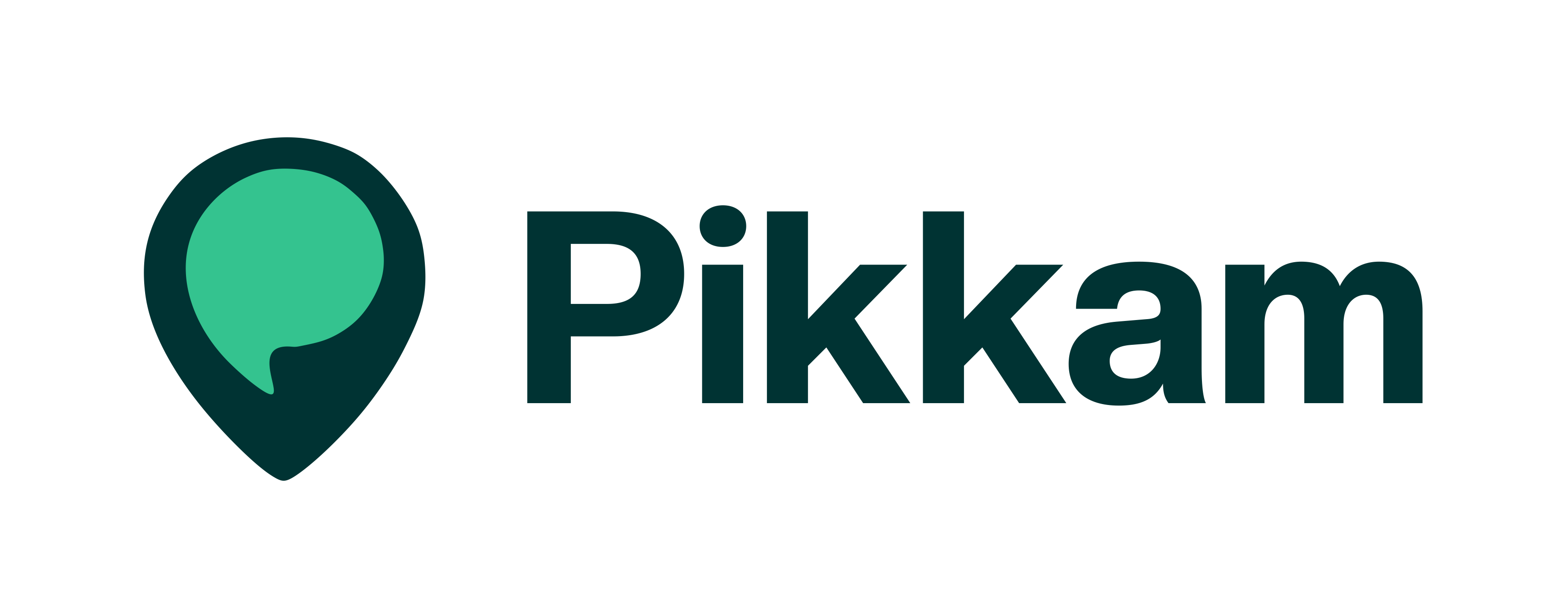 Pikkam Logo